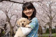 娱乐吃瓜酱女生养的狗,揭秘娱乐吃瓜酱女生的心头爱宠
